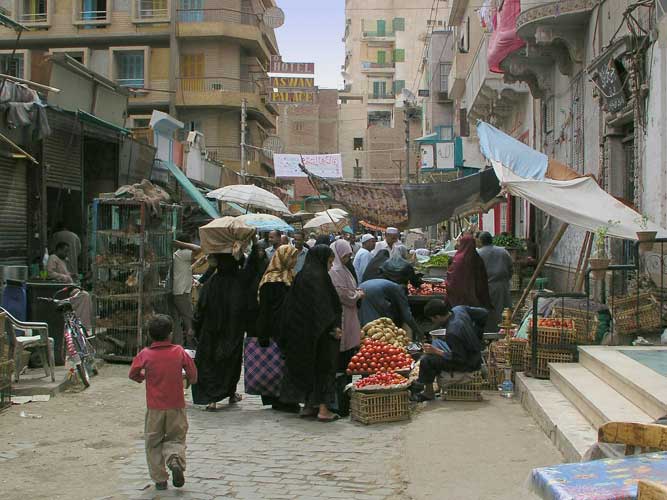 Photos - Popular Egypt