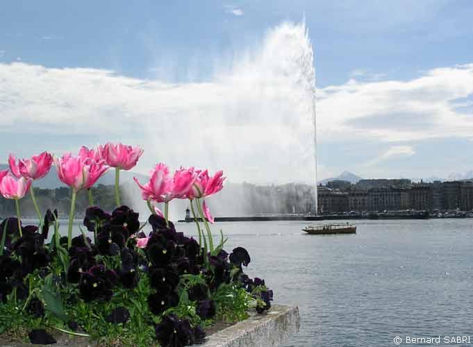 Photos of Geneva